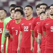 ayx爱游戏中国-波黑客场战胜立陶宛，晋级欧洲杯预选赛()